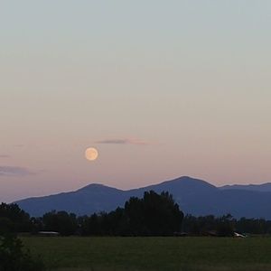 Meet your Posher, Mandy